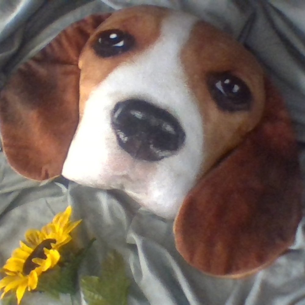 Beagle Animal Pillow